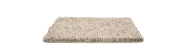 carpet 082