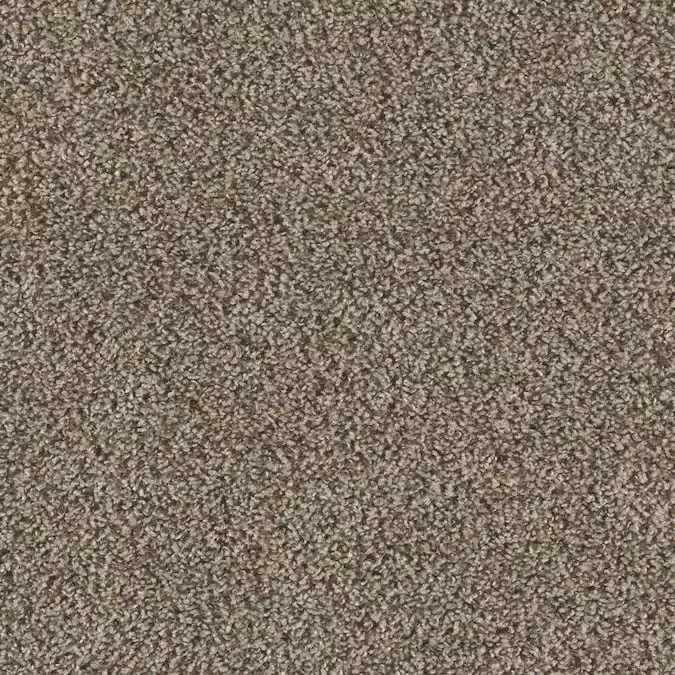 carpet 02