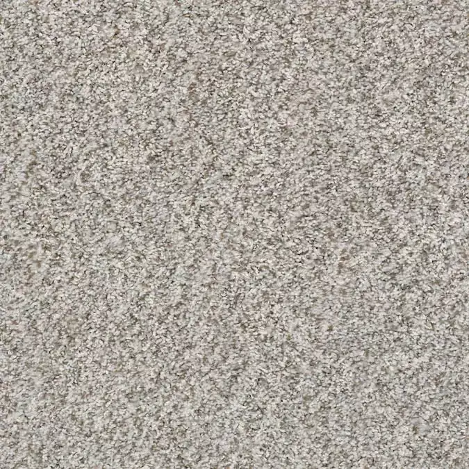 carpet 06